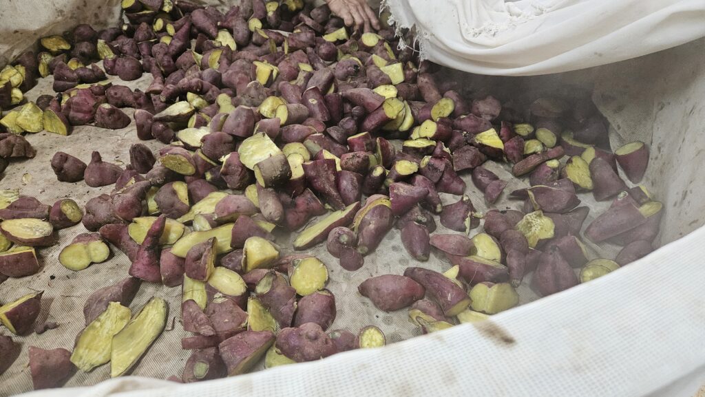 蒸したサツマイモ